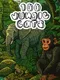 100 Jungle Cats