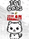 101 Cats in Milan