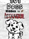 101 Dogs Hidden in Istanbul