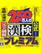 250-man-nin no Kanken Premium: Zenkyuu Zen-Kanji Kanzen Seiha