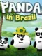 3 Pandas in Brazil