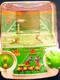 3D Football