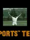 4D Sports Tennis