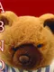 A Bear's Night Out