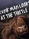 A Drunk Man Looks at the Thistle Decoded