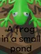 A Frog in a Small Pond