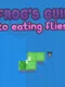 A Frog's Guide to Eating Flies
