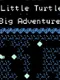 A Little Turtle's Big Adventure