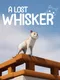 A Lost Whisker