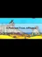 A Postcard From Afthonia
