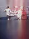 Active Crowds