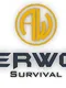 Afterworld