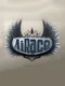 AiRace