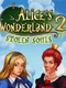 Alice's Wonderland 2: Stolen Souls