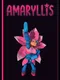 Amaryllis