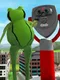 Amazing City: Frog Adventures