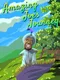 Amazing Joes Journey