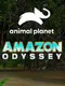 Amazon Odyssey