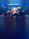 Amigo Fishing