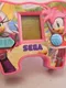 Amy & Rouge Volleyball