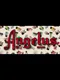 Angelus Brand VR Experience
