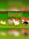 Animal Herding