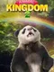 Animal Kingdom 2