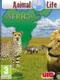 Animal Life: Africa