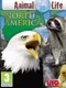 Animal Life: North America