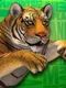 Animal Planet Wildlands