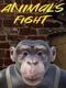 Animals Fight