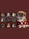 Animals Memory: Dogs