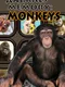 Animals Memory: Monkeys