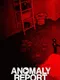 Anomaly Report