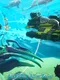 AquaBlitz: Alien Racer