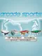 Arcade Sports