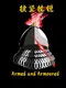 Armed and Armoured
