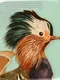 Art of Fauna: Cozy Puzzles+