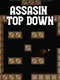 Assasin Top Down