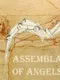 Assemblage of Angels