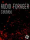 Audio Forager