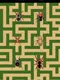 Australian Maze