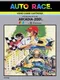 Auto Race