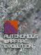 Autonomous Warfare Evolution