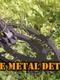 Awsome Metal Detecting