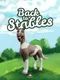 Back to Stables