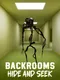Backrooms Hide and Seek