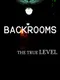 Backrooms: The True Level