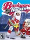 Backyard Hockey