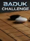Baduk Challenge